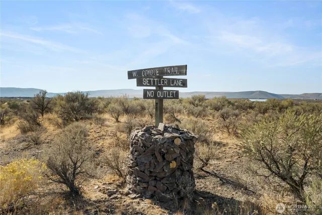 a view of a swimming pool with a yard
