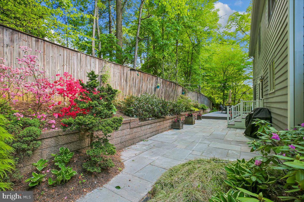 6302 Walhonding Road Bethesda, MD 20816 - Photo 91 of 101 Backyard