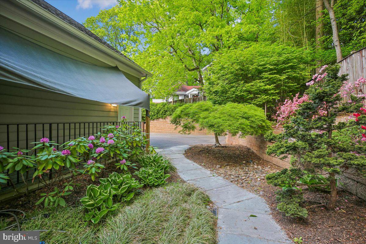 6302 Walhonding Road Bethesda, MD 20816 - Photo 92 of 101 Backyard