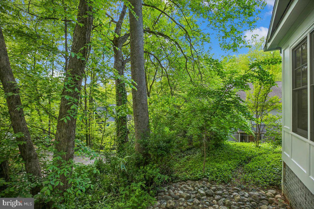 6302 Walhonding Road Bethesda, MD 20816 - Photo 94 of 101 Side yard
