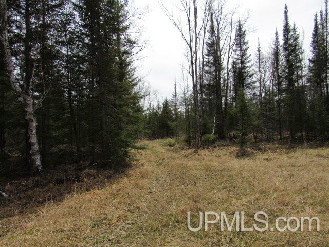 3315 Co Road Cornell, MI 49818 - Photo 38 of 50