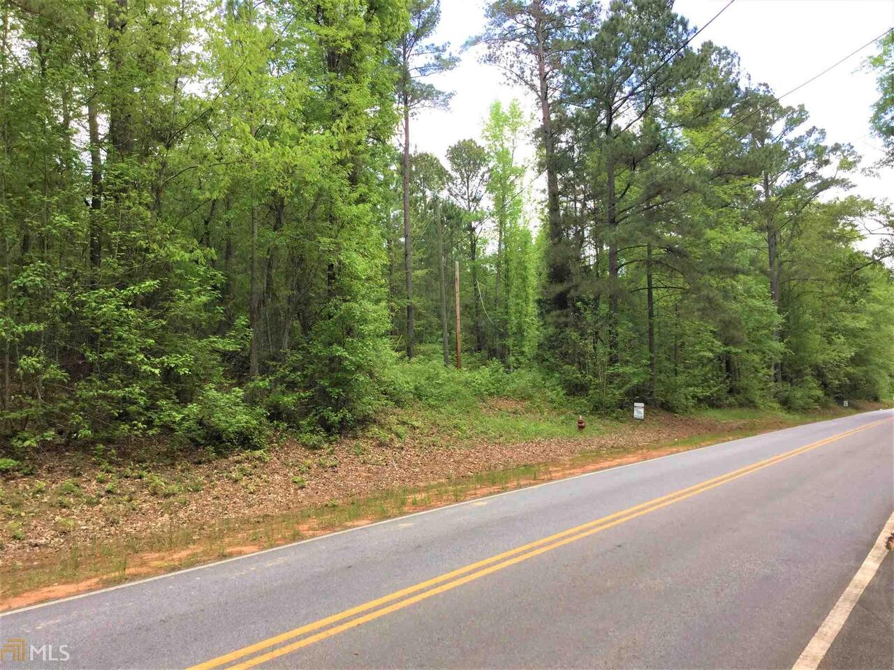 0 Luther Bailey Road, Unit 3 Senoia, GA 30276 - Photo 1 of 1 Gallery Image 1