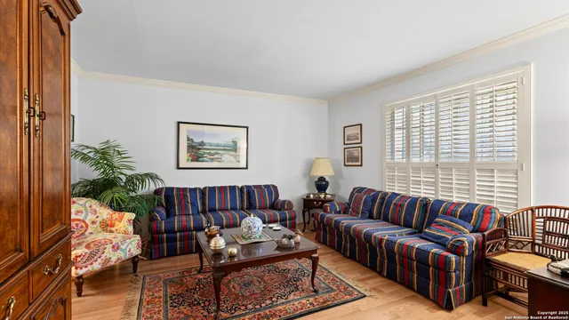 a living room with furniture or couch and a potted plant
