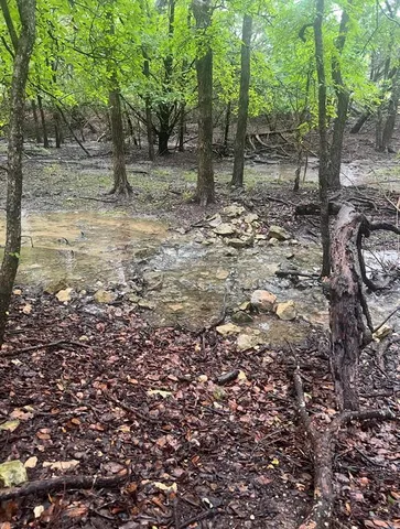 $350,000 | 368 Tweedy Road, Valley Mills, TX 76689