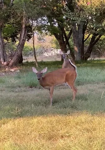 $350,000 | 368 Tweedy Road, Valley Mills, TX 76689