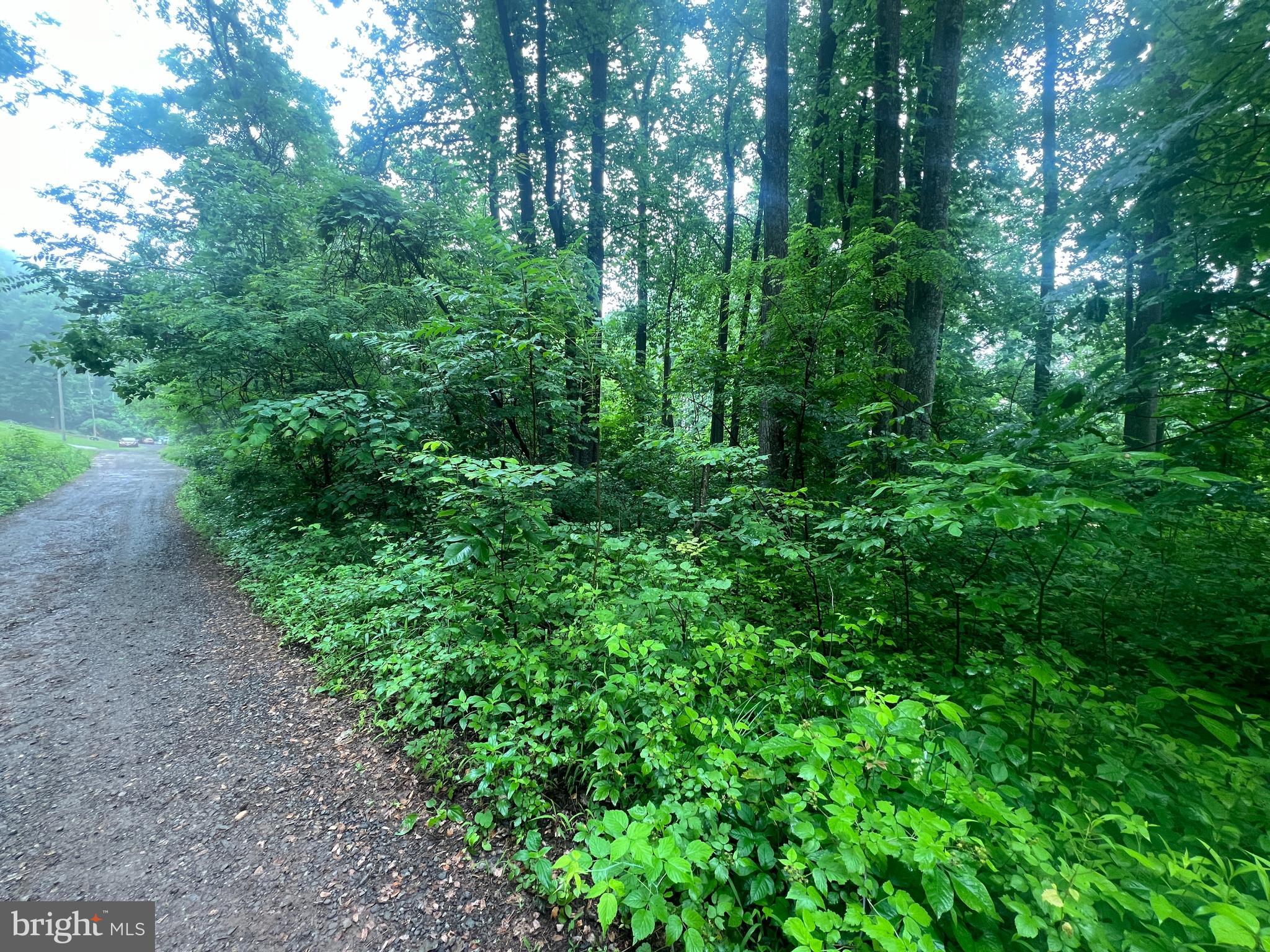 Highland Way Chester Gap, VA 22623 - Photo 2 of 7