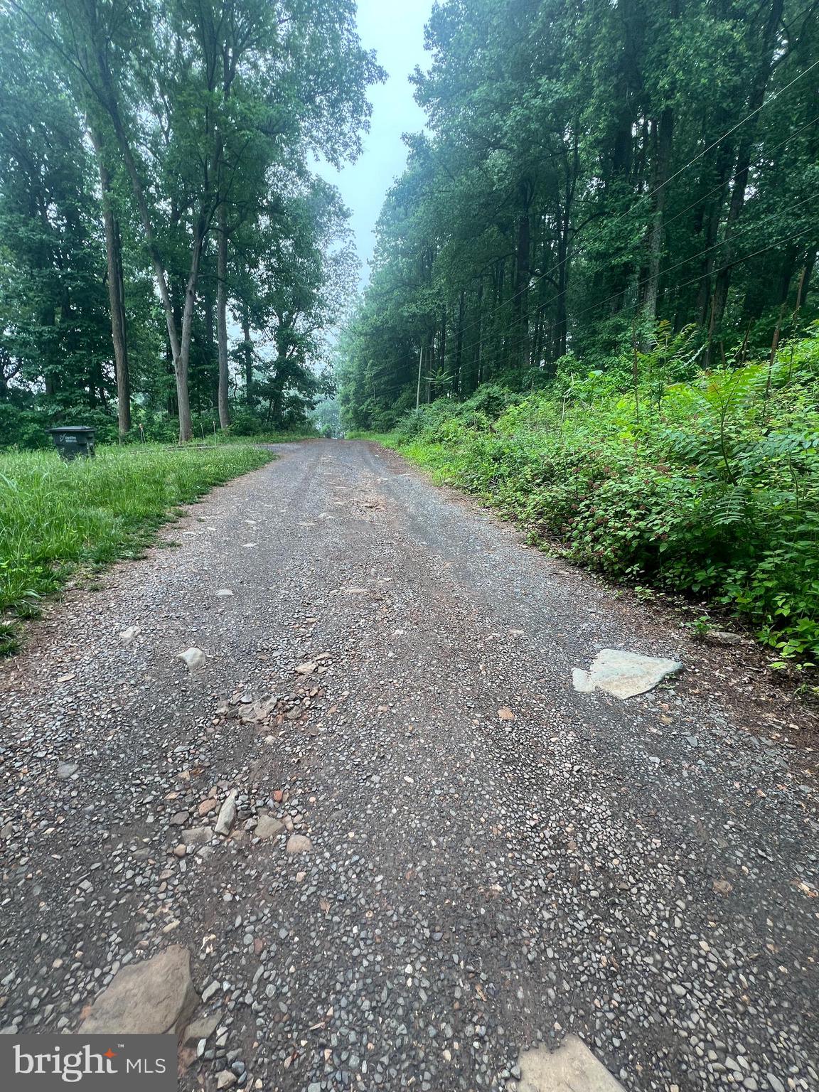 Highland Way Chester Gap, VA 22623 - Photo 5 of 7