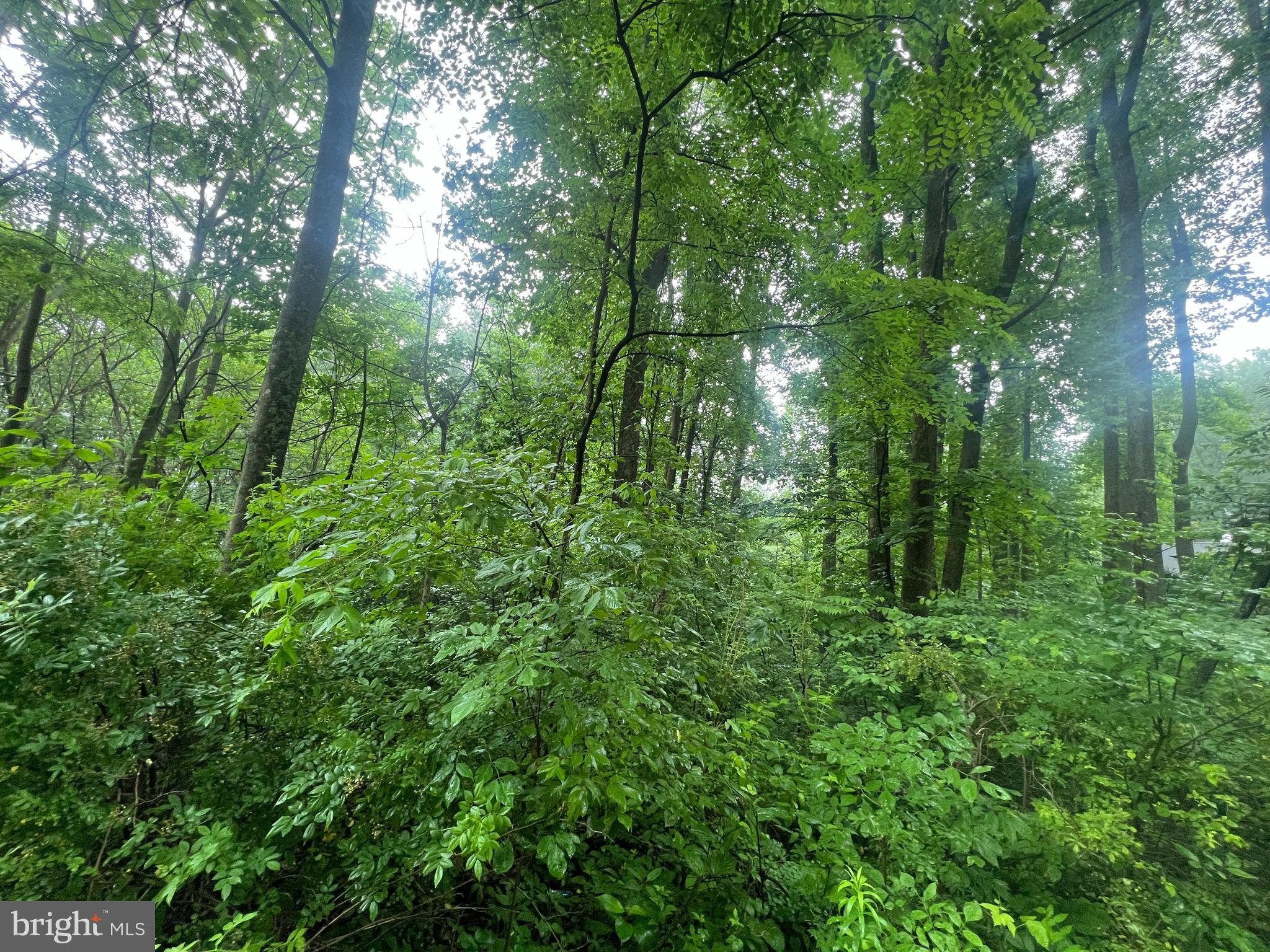 Highland Way Chester Gap, VA 22623 - Photo 7 of 7