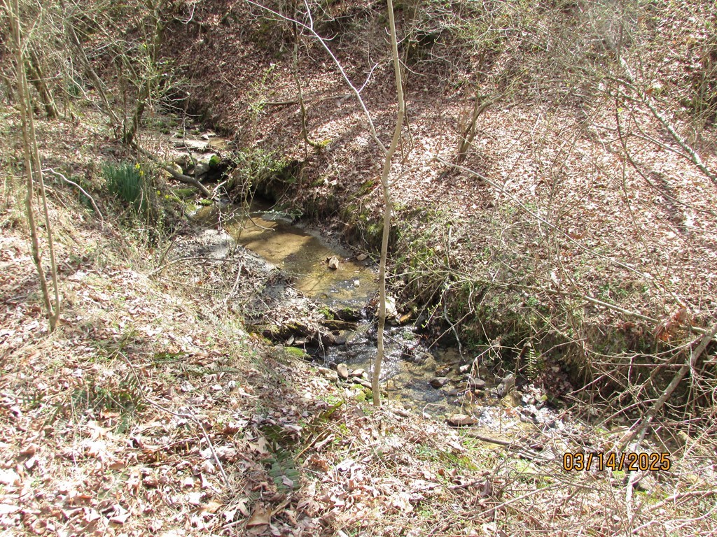 10.5-ac Phillips Road Young Harris, GA 30582 - Photo 18 of 23 a view of a tree