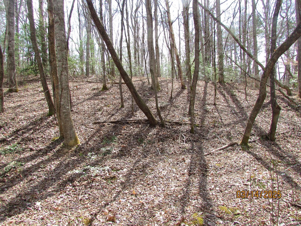 10.5-ac Phillips Road Young Harris, GA 30582 - Photo 8 of 23 a view of outdoor space with lots of trees