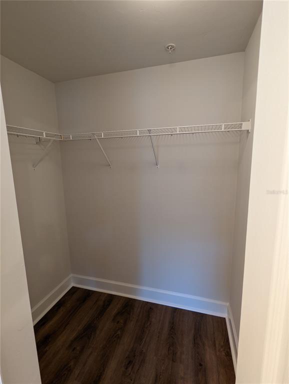 7782 Southwest 64th Lane, Unit 1002 Gainesville, FL 32608 - Photo 25 of 42 a view of an empty walk in closet