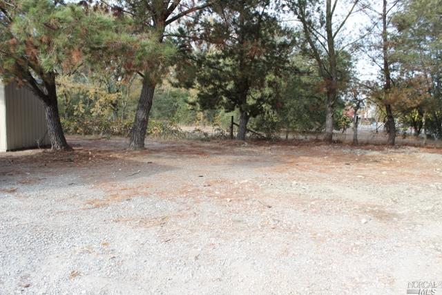 1793 Fulton Road Santa Rosa, CA 95403 - Photo 1 of 1 a view of a yard with a tree