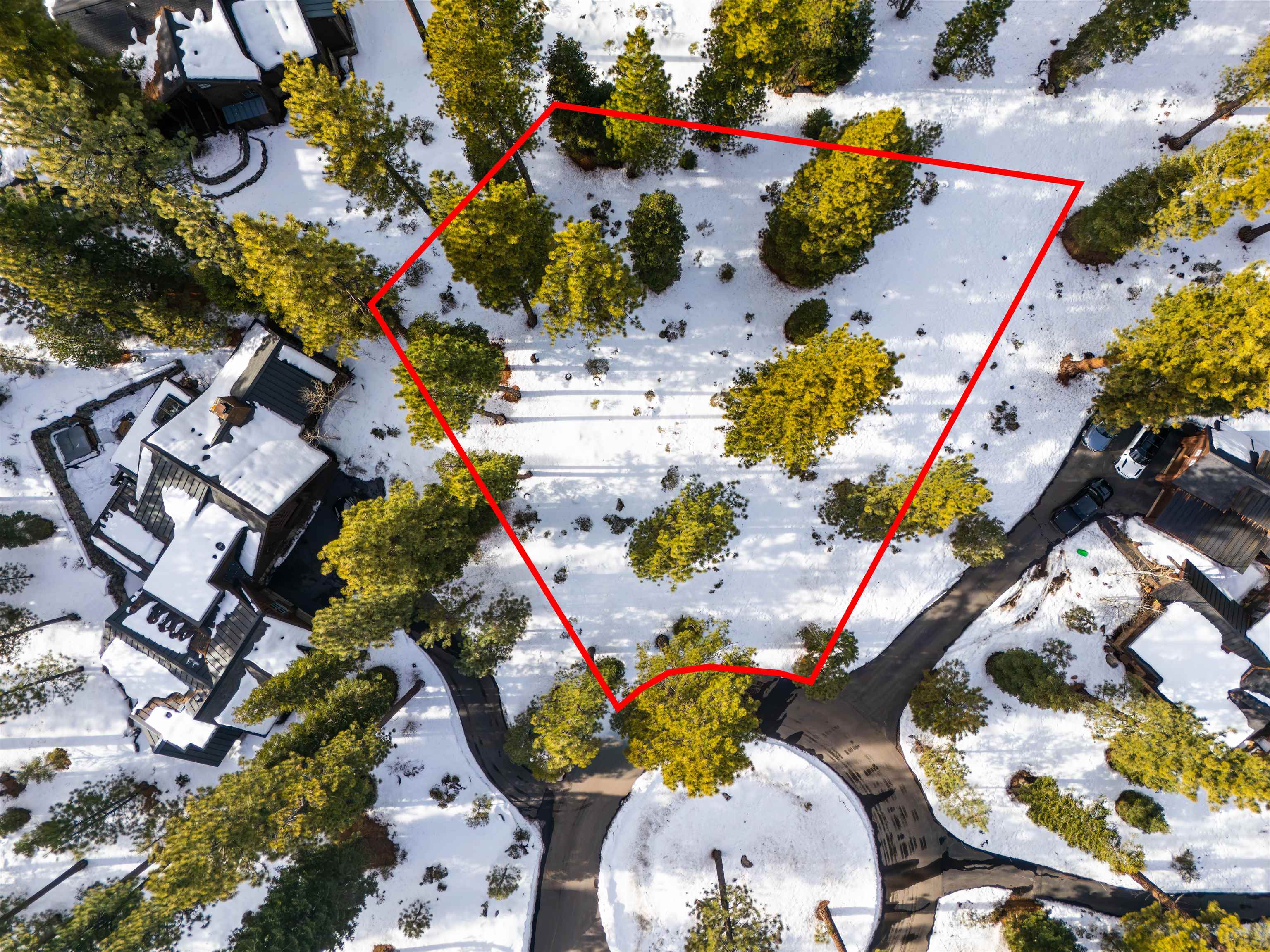 110 Bob Watson Truckee, CA 96161 - Photo 1 of 9 an aerial view of a house a lot of flower plants