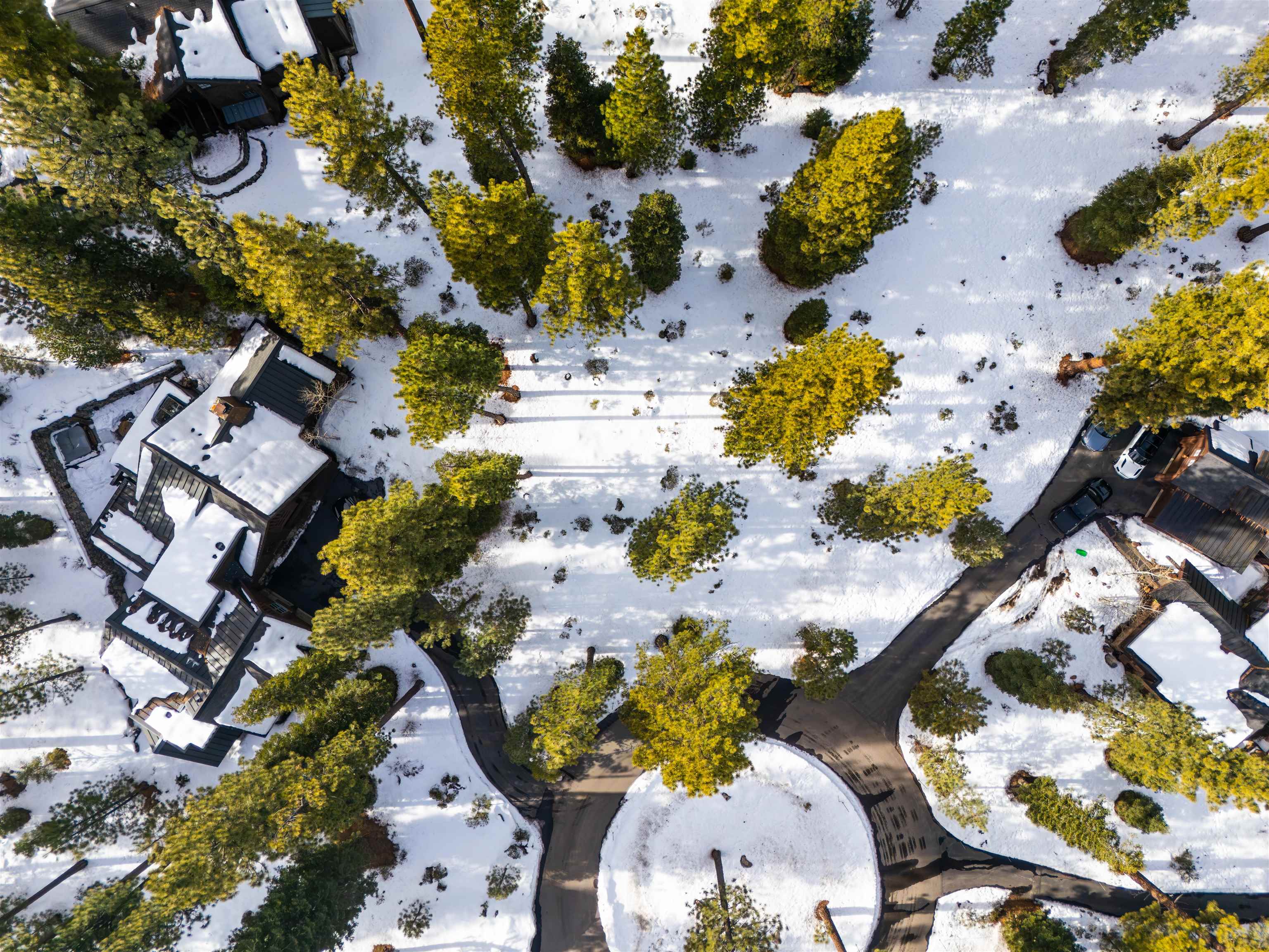 110 Bob Watson Truckee, CA 96161 - Photo 2 of 9