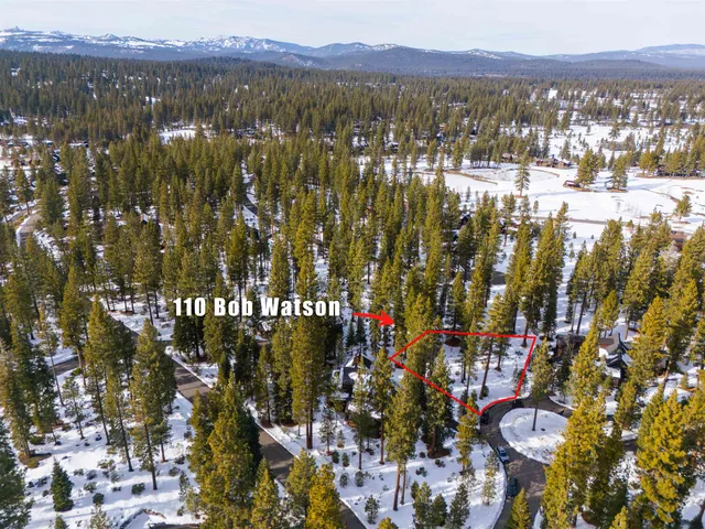 a view of lake and city