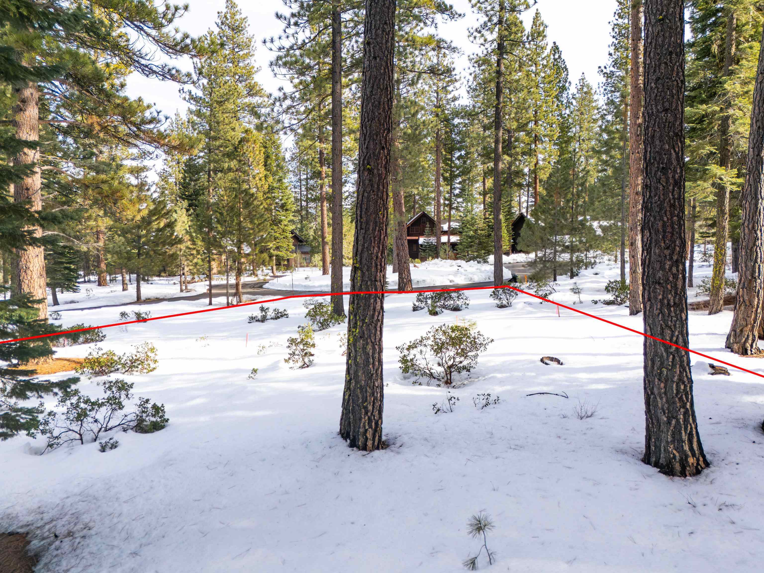 110 Bob Watson Truckee, CA 96161 - Photo 7 of 9 a view of yard