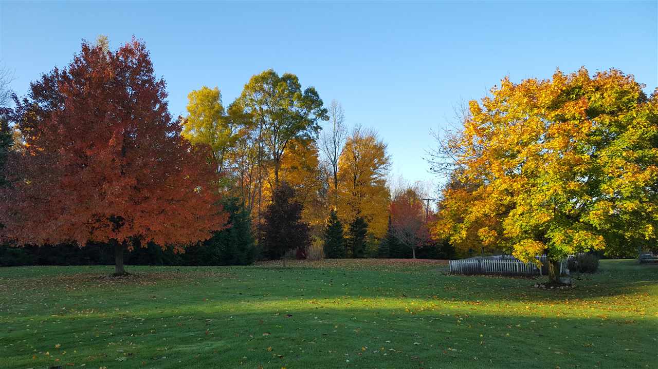 4318 Phillips Road Metamora, MI 48455 - Photo 7 of 61