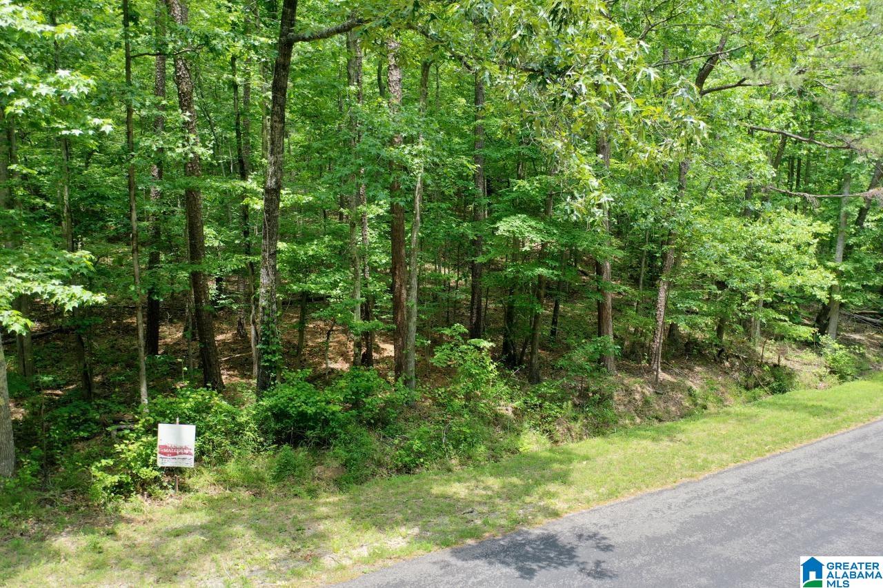 0 Kennedy Drive, Unit 13 Oneonta, AL 35121 - Photo 10 of 10