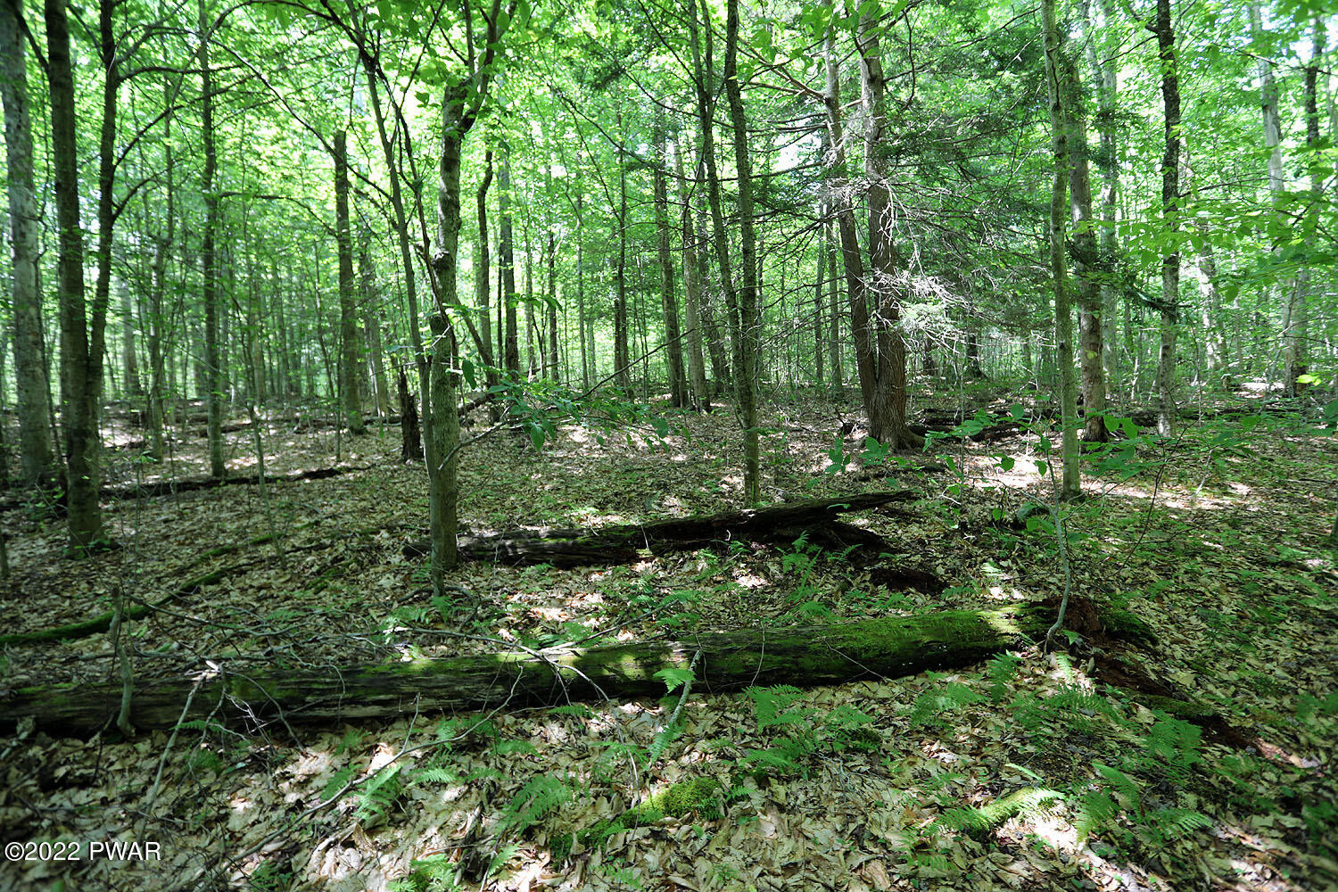 0 Minckler Mountain Road Damascus, PA 18415 - Photo 43 of 43
