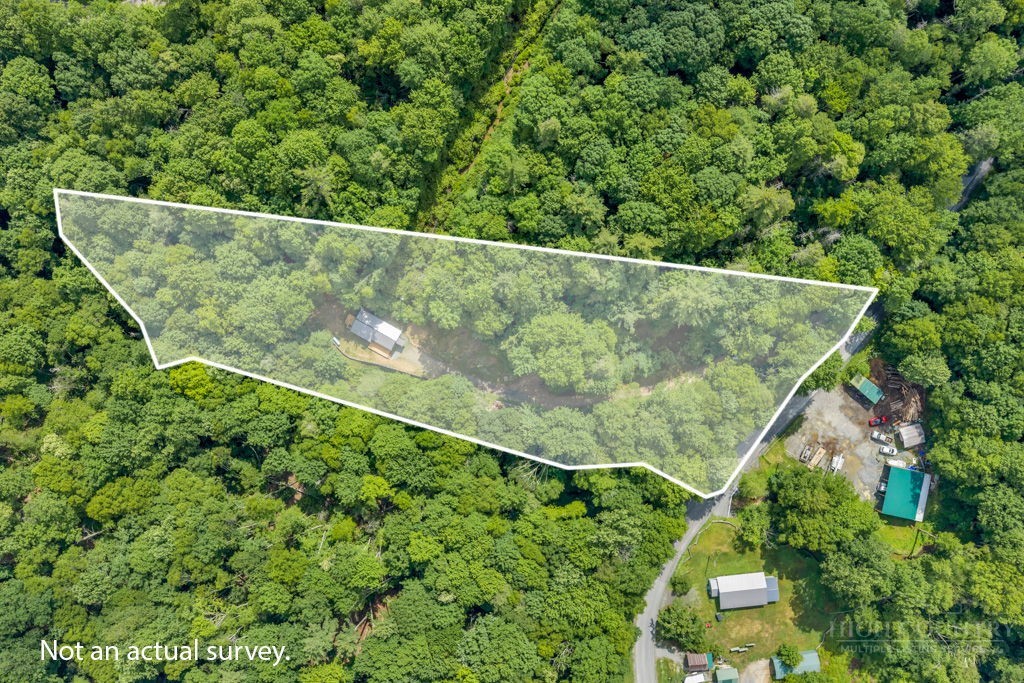 166 Charlie Hicks Road Banner Elk, NC 28604 - Photo 8 of 38