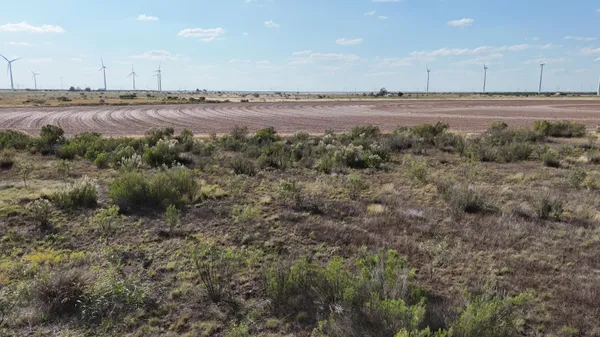 a view of a dry yard