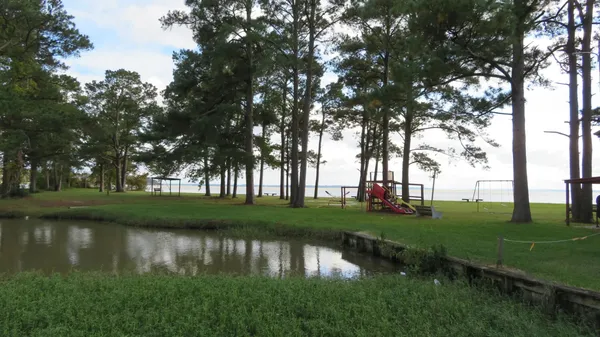 a view of a lake with a large trees