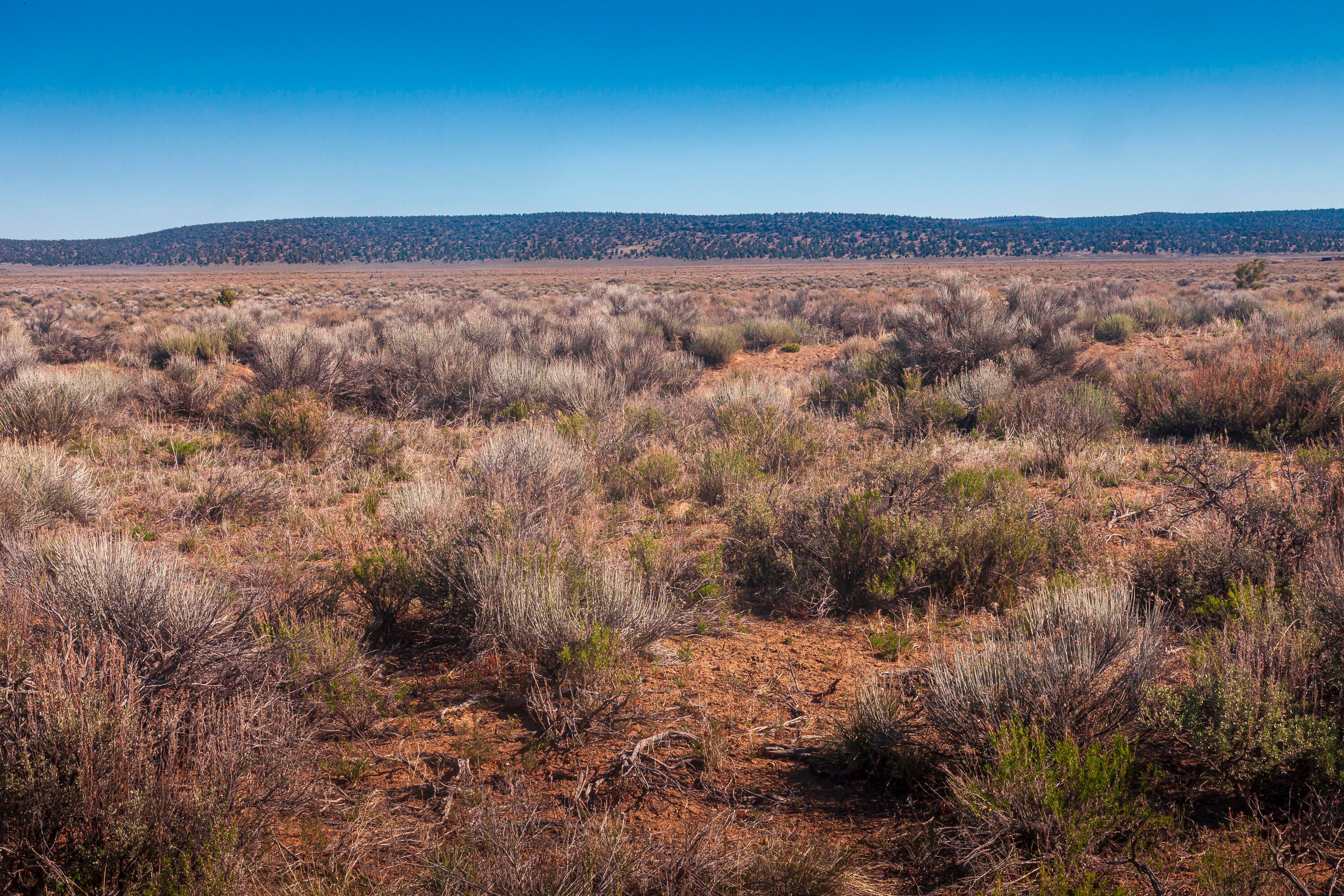 0 Ford Road Bend, OR 97701 - Photo 11 of 16 Southwest corner of the parcel (approximate) looking North.