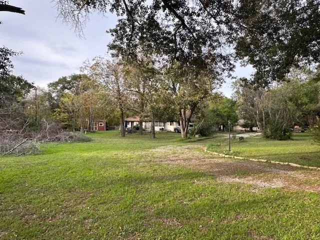 a view of a park with large trees
