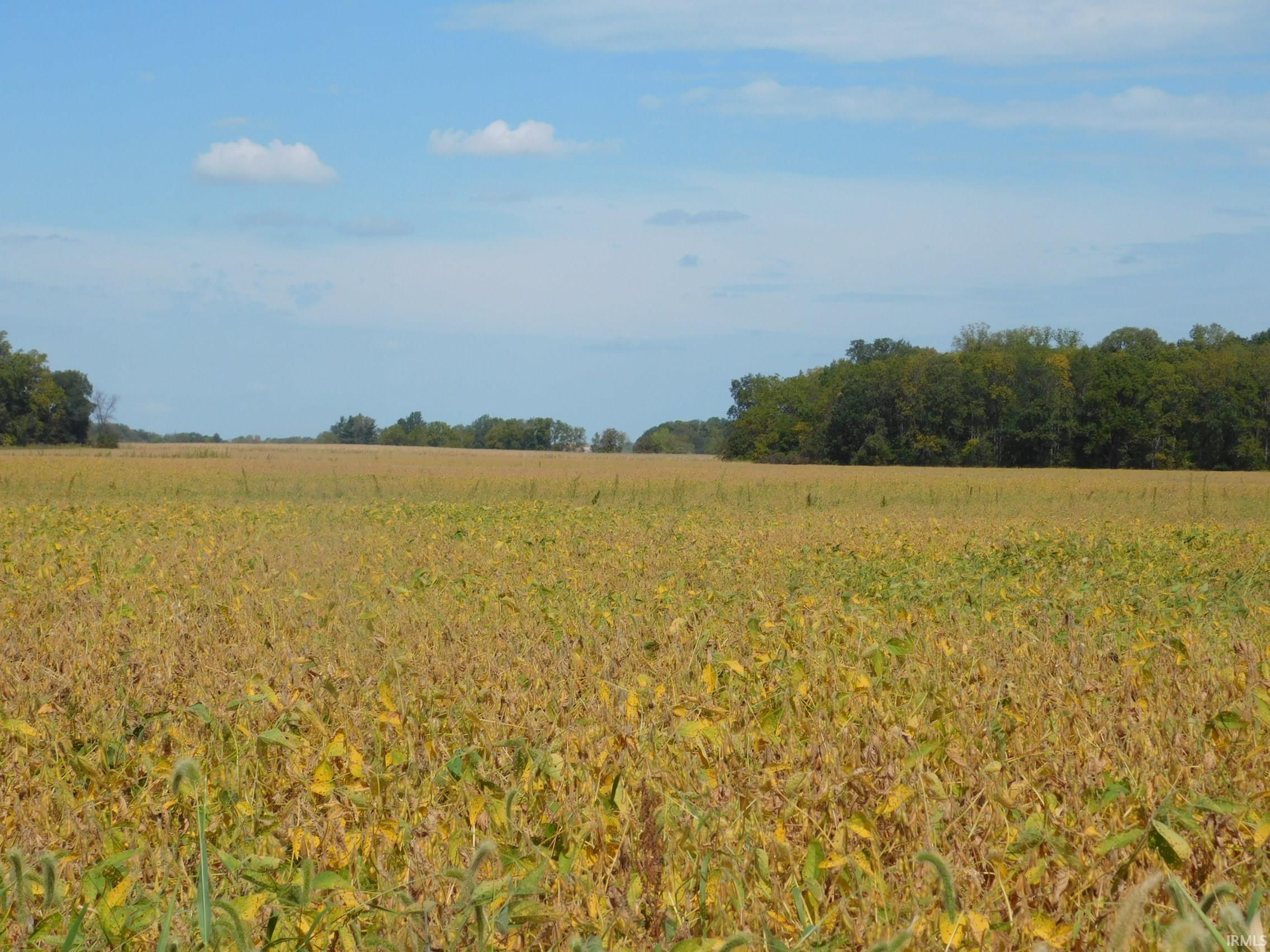 300 East Hartford City In