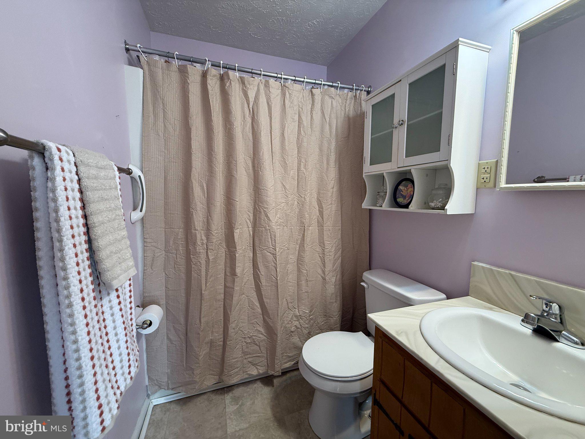 341 West 9th Street Front Royal, VA 22630 - Photo 12 of 21 Charming pastel bathroom retreat.