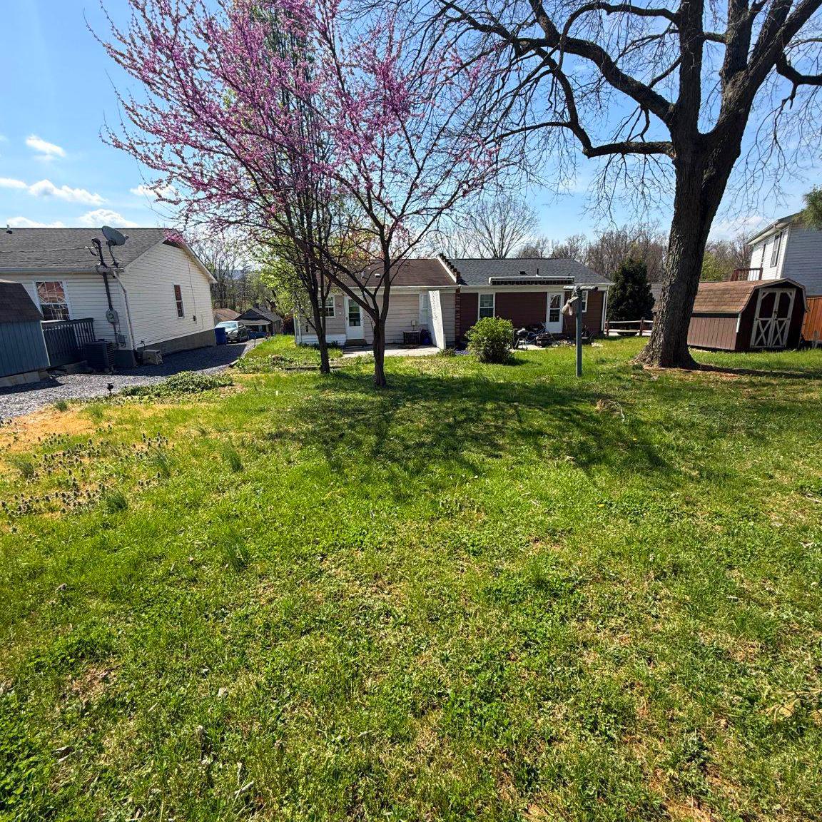 341 West 9th Street Front Royal, VA 22630 - Photo 19 of 21 Spacious backyard