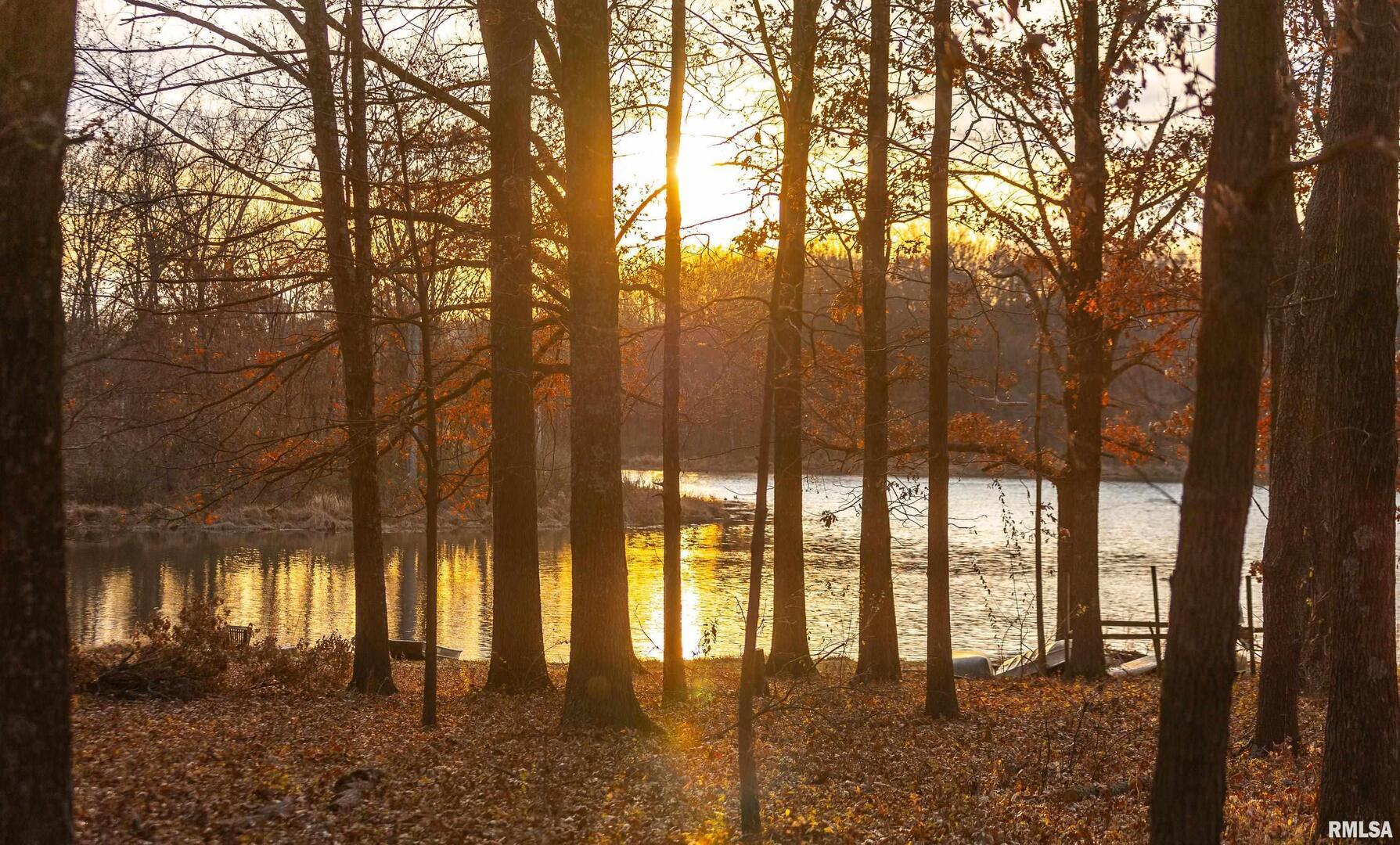 15247 Laminack Road Carterville, IL 62918 - Photo 32 of 49