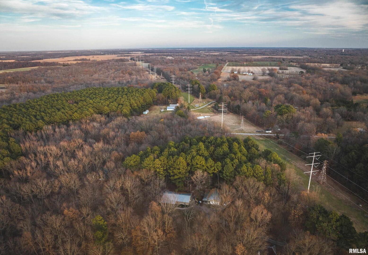 15247 Laminack Road Carterville, IL 62918 - Photo 41 of 49