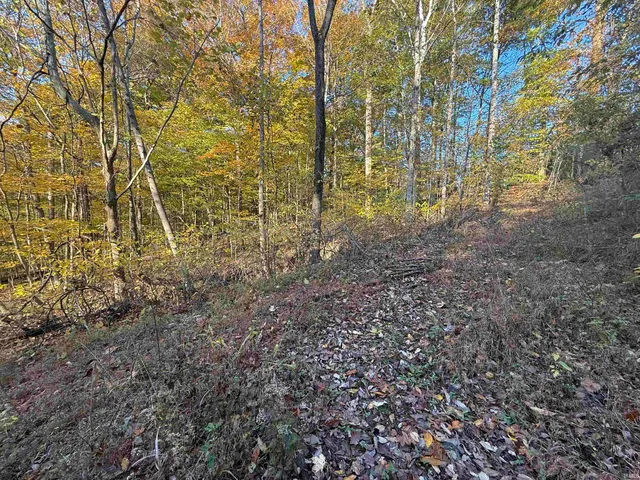 $63,000 | Lakeview Drive, Celestine, IN 47521