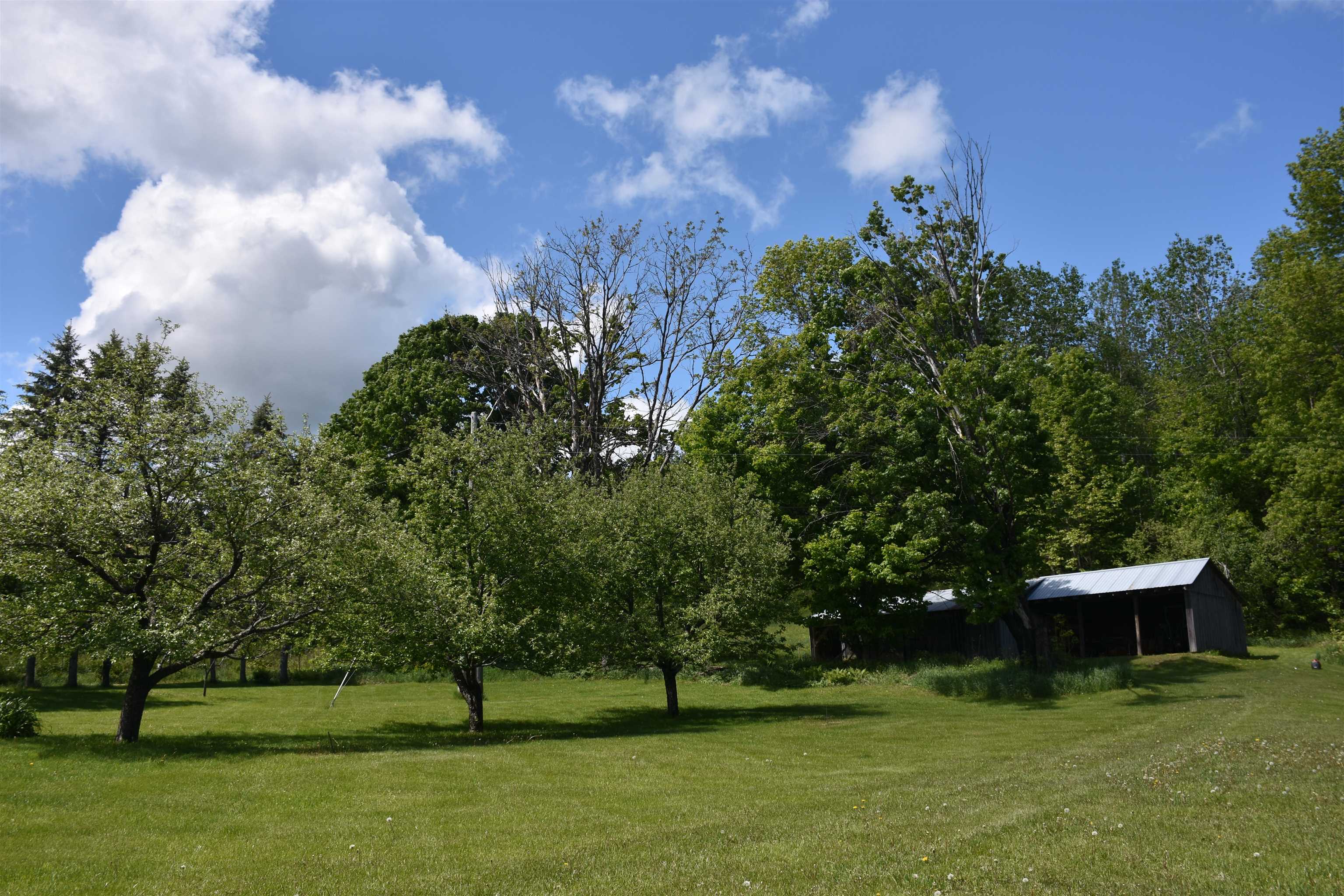 1574 Weir Road Williamstown, VT 05679 - Photo 37 of 60