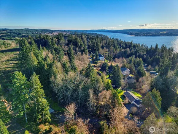 a view of a city with lots of trees