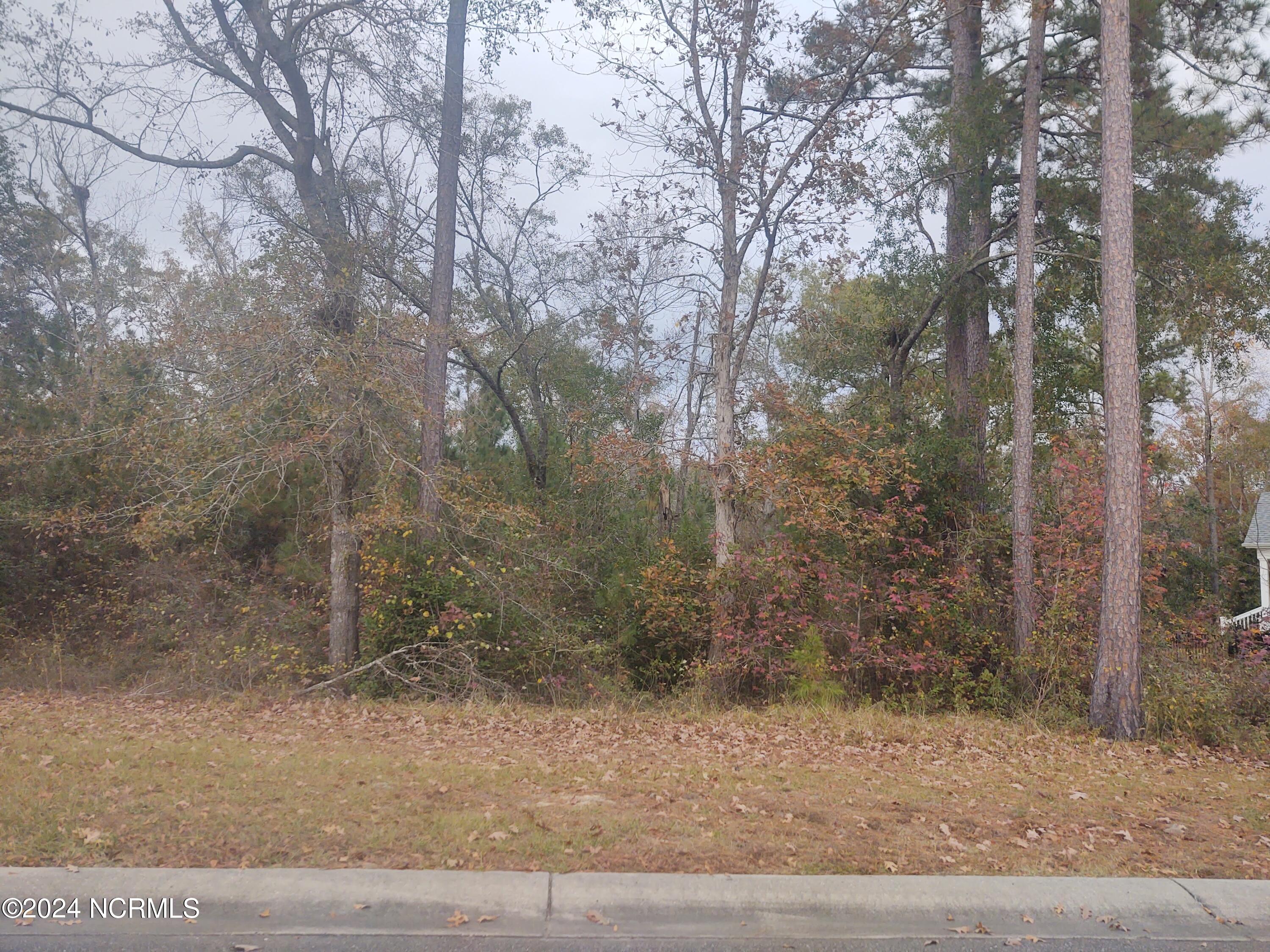 3819 Hallmark Road Northeast Leland, NC 28451 - Photo 11 of 12 IMG_20231120_150519398