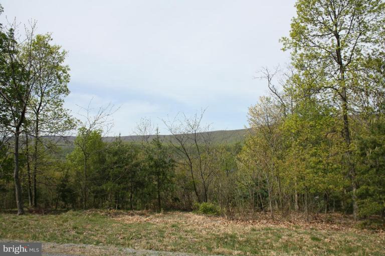 39 Montevideo Road Berkeley Springs, WV 25411 - Photo 1 of 8 a view of a forest with trees