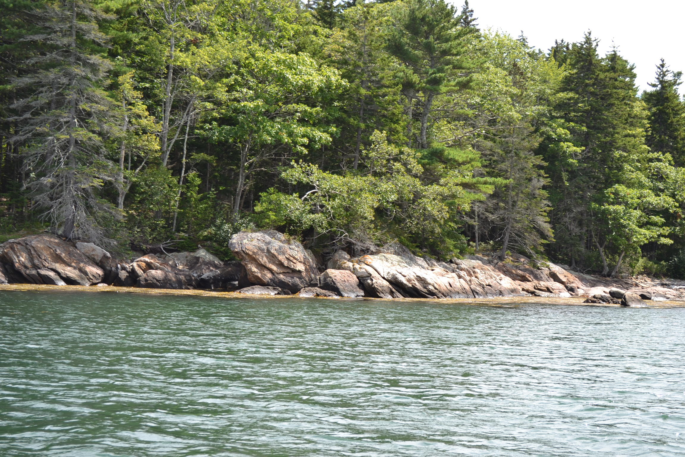 0 Pemaquid Harbor Road Pemaquid, ME 04558 - Photo 11 of 16 DSC_0705