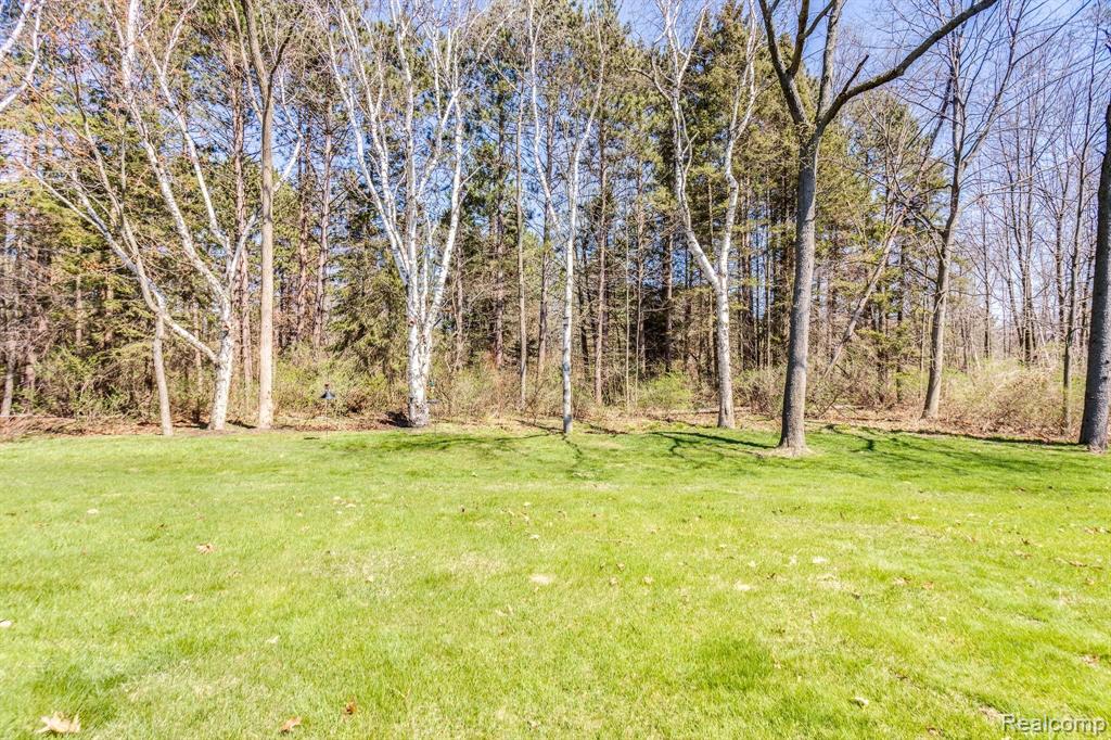 7276 Lakeshore Road Lakeport, MI 48059 - Photo 5 of 38