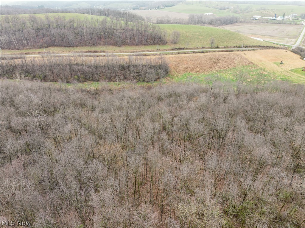 Buck Hill Road Frazeysburg, OH 43822 - Photo 15 of 24