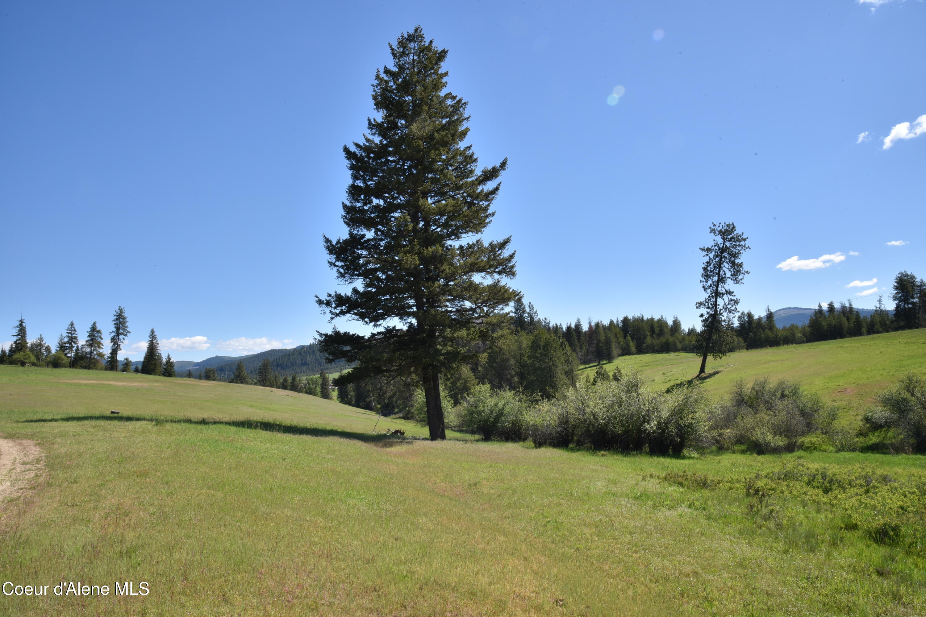 Nka Nka Tyson Creek Road St. Maries, ID 83861 - Photo 12 of 26 14