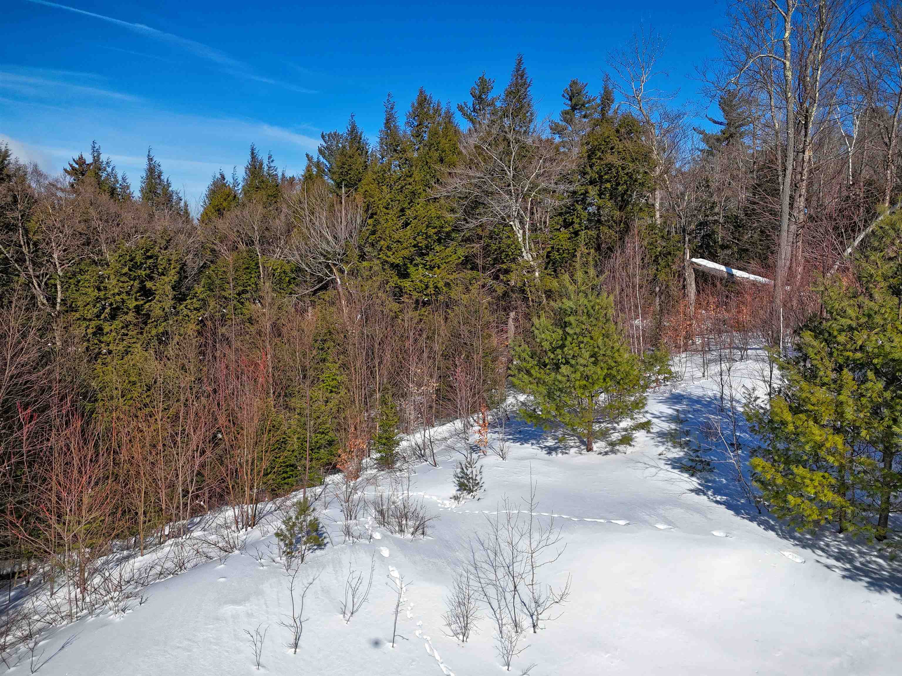 0 Garden Loop Road Winhall, VT 05340 - Photo 3 of 12