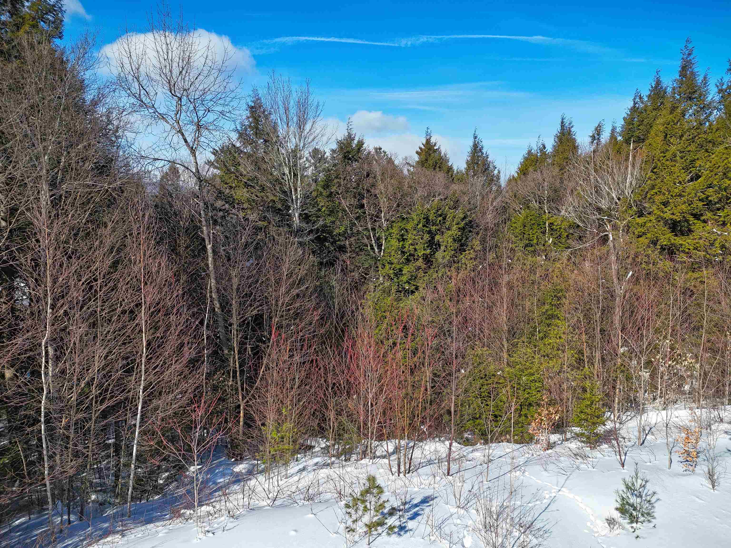 0 Garden Loop Road Winhall, VT 05340 - Photo 4 of 12