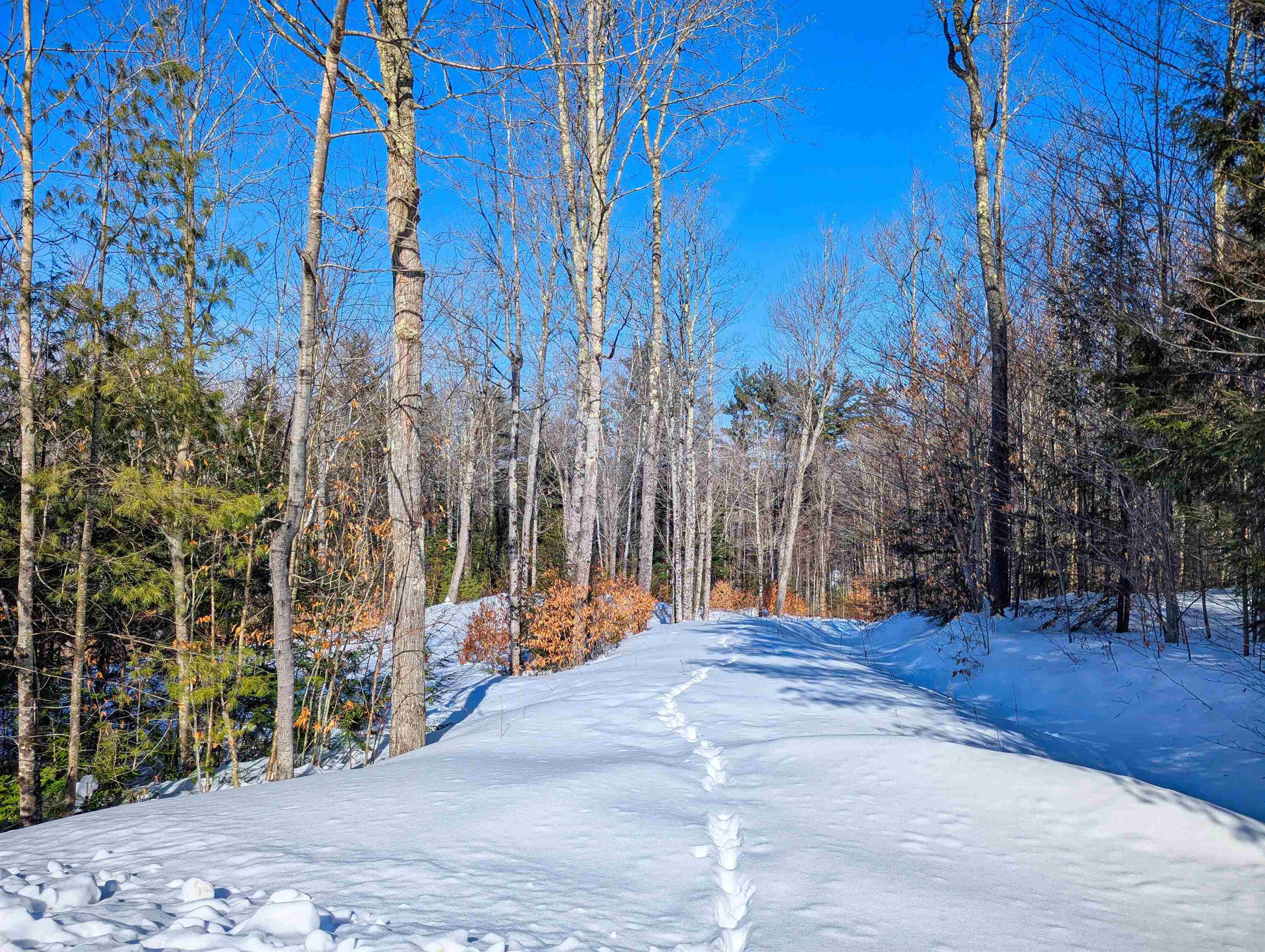 0 Garden Loop Road Winhall, VT 05340 - Photo 8 of 12