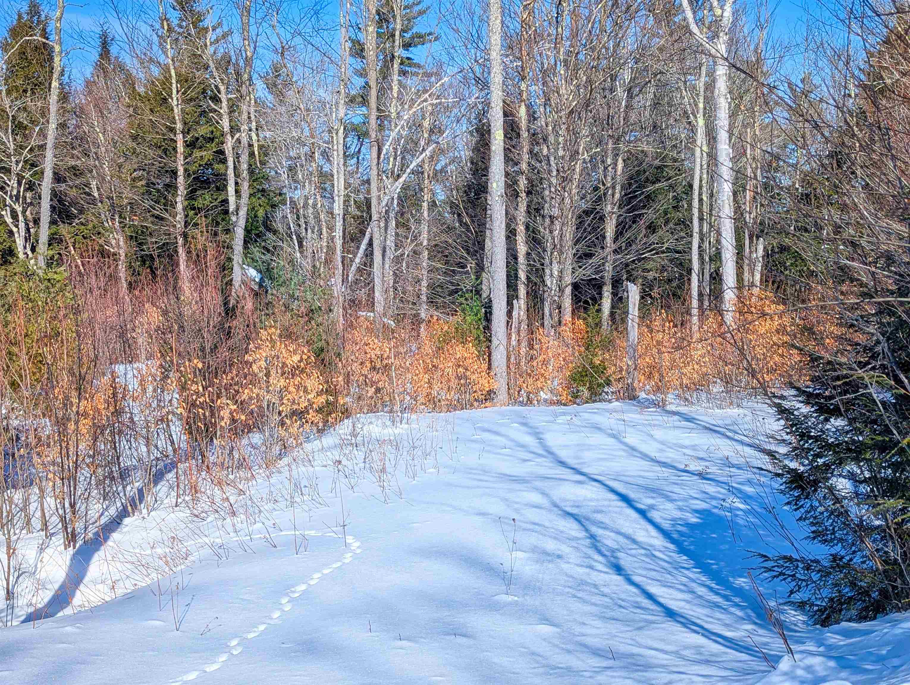 0 Garden Loop Road Winhall, VT 05340 - Photo 10 of 12