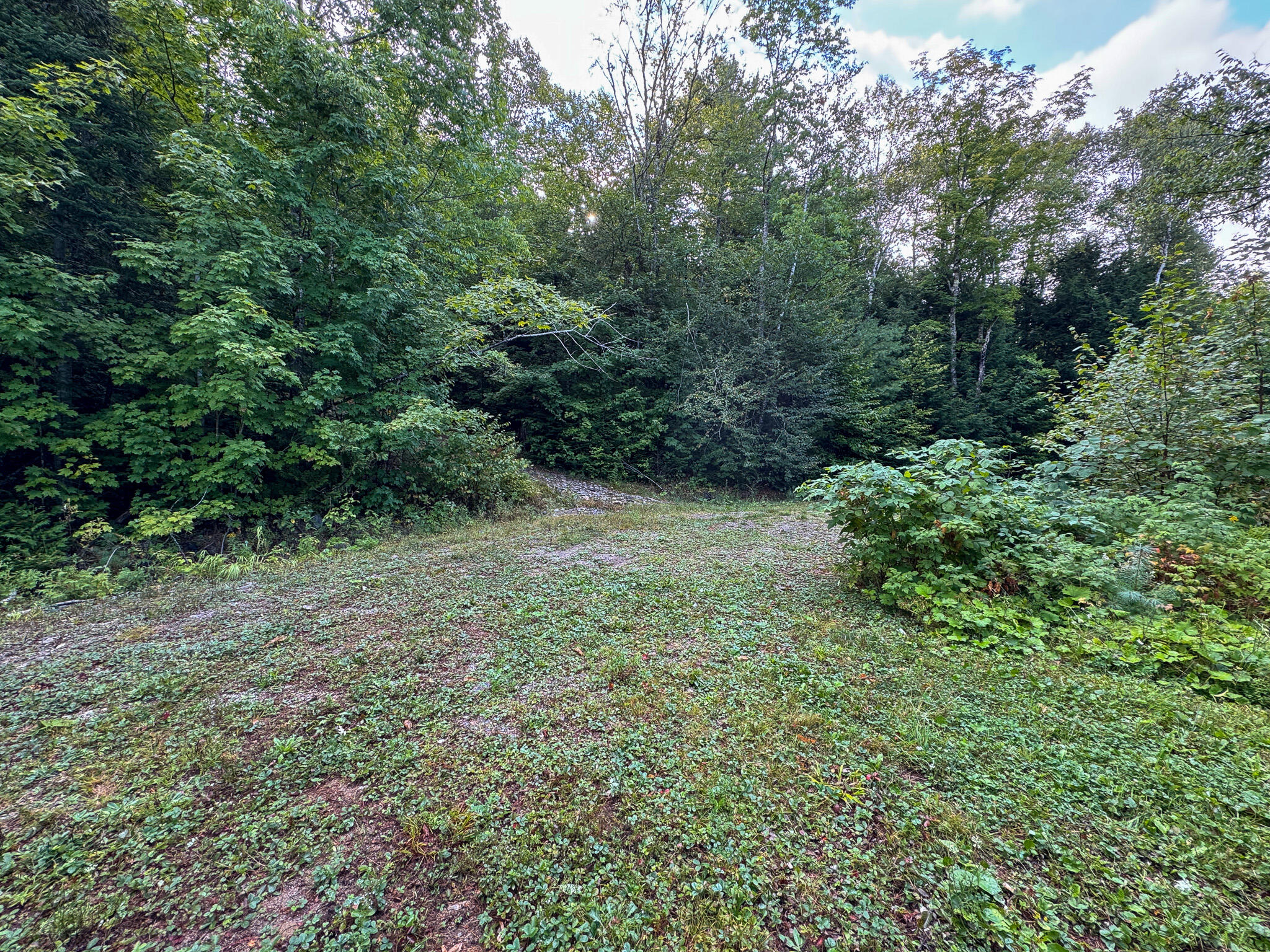 Lot 8-9 Moores Road Springfield, ME 04487 - Photo 13 of 22 13