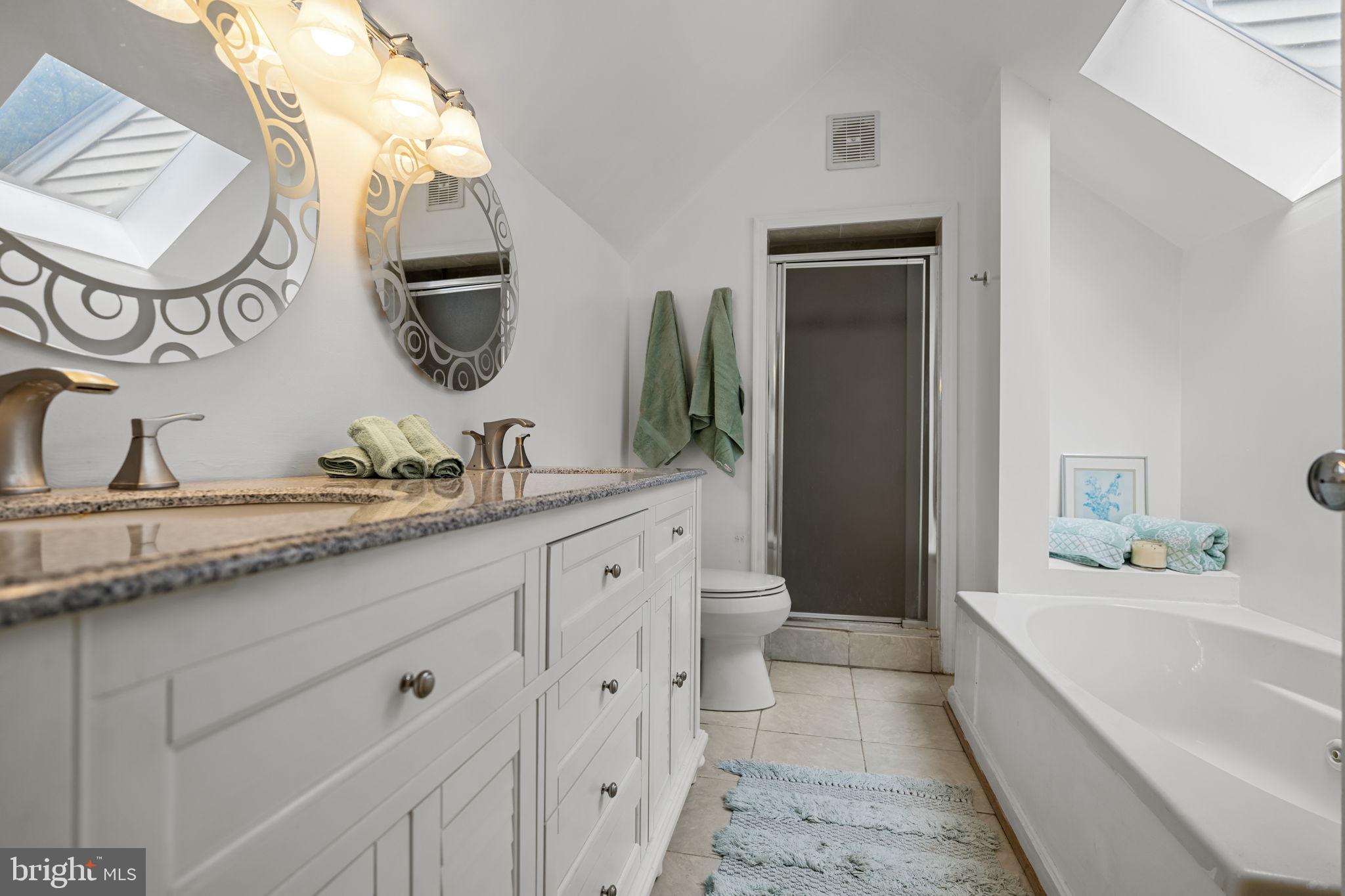 8729 Fort Hunt Road Alexandria, VA 22308 - Photo 3 of 25 Primary Bath with Skylight