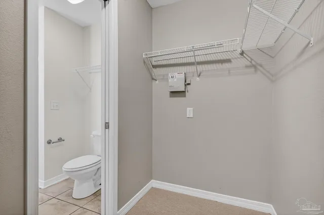 a view of yard with large trees