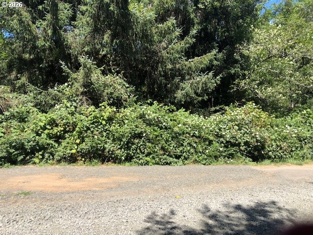 0 Rose Lane Coos Bay, OR 97420 - Photo 1 of 4